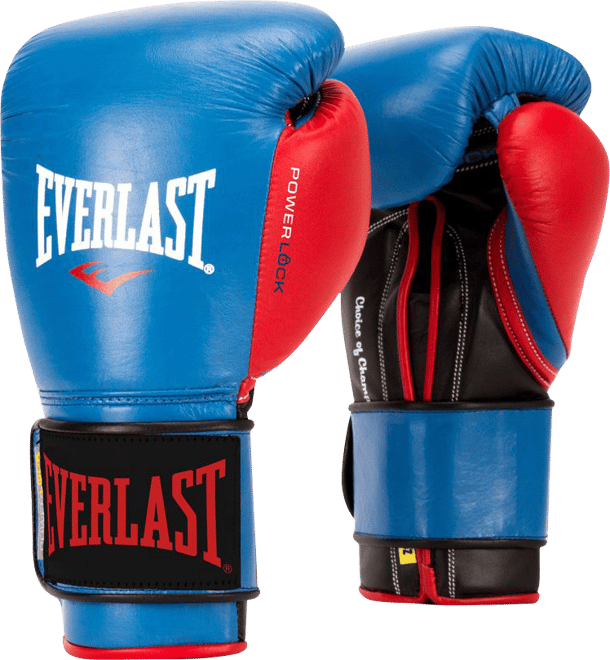 Everlast P00002820 Hydrostrike AC Heavy Bag Black 100lb