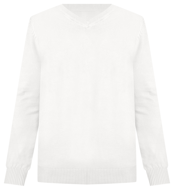 Boy's Basic V-Neck Sweater