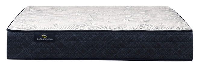 Perfect Sleeper Adoring Night 10.5" Plush Mattress Set, Queen Split