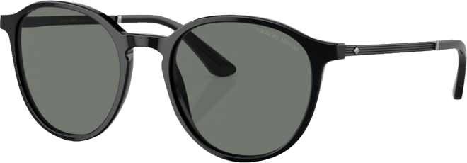 Men's Sunglasses AR8196