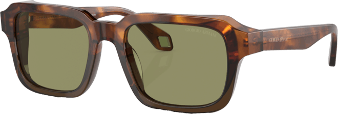 Men's Sunglasses AR8194U