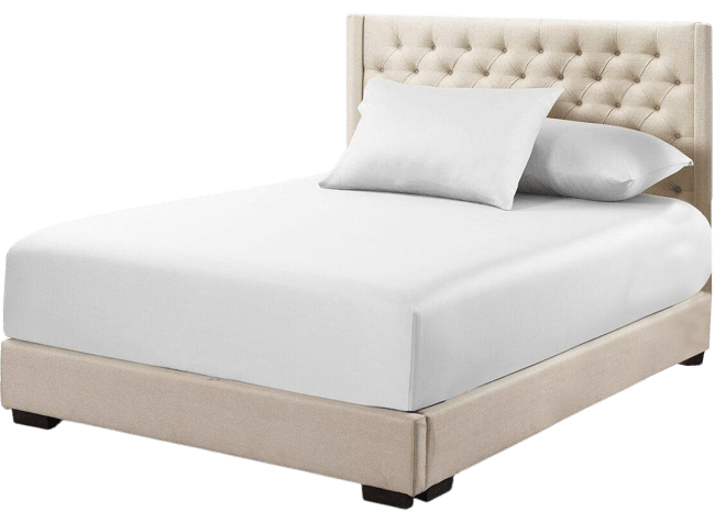 Low Profile (6-10 Inches) Cotton Fitted Sheet Only Usa, Queen