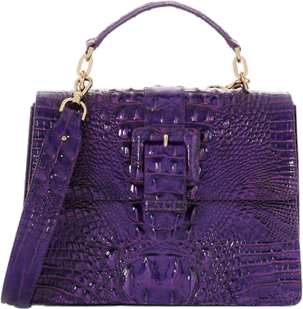 Brahmin Hallie Satchel belk