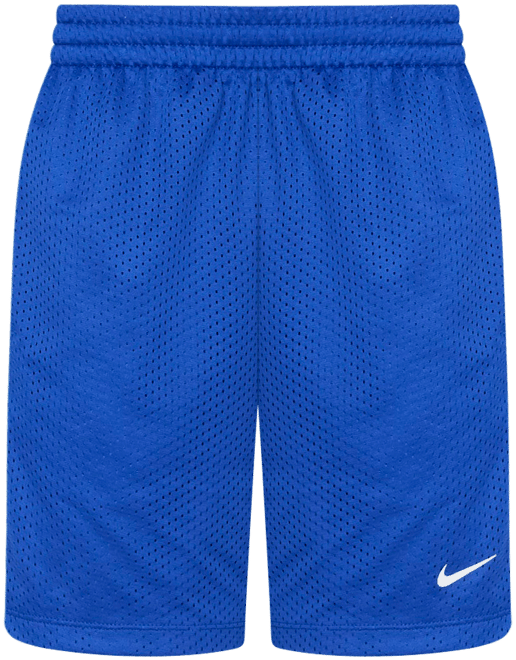 Nike Multi Big Kids' (Boys') Dri-FIT Mesh Shorts