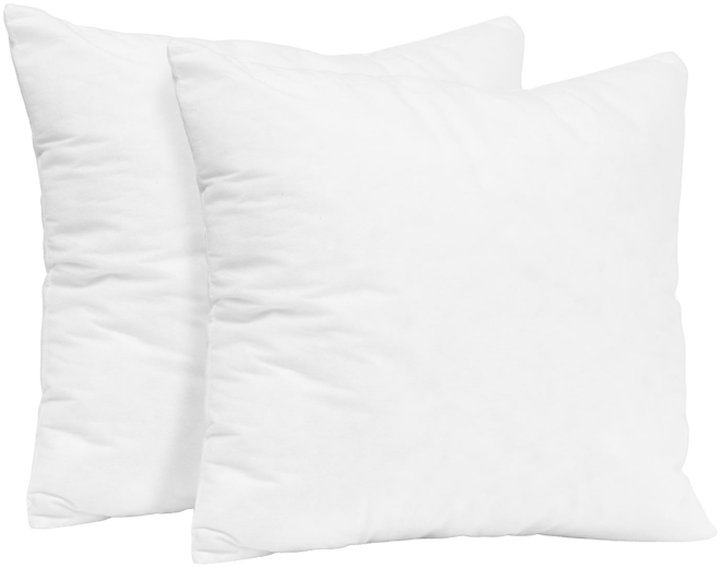 Square Sofa Throw Pillow Inserts