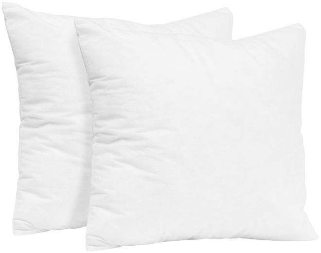Square Sofa Throw Pillow Inserts