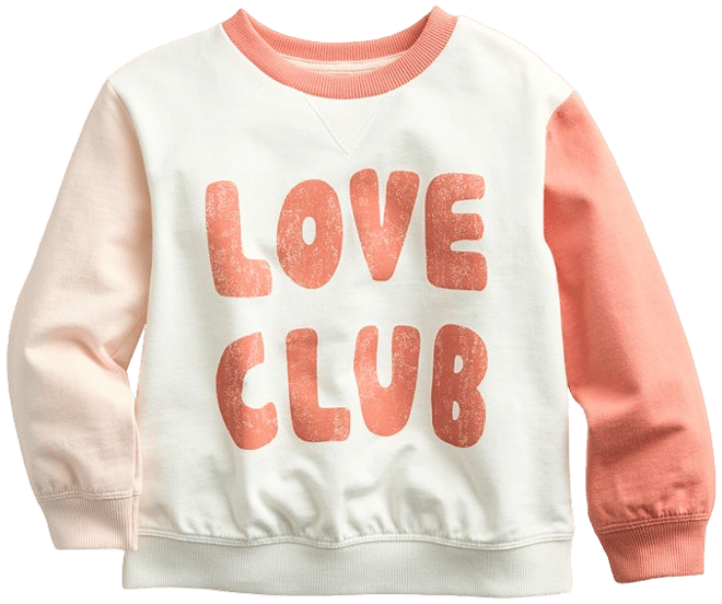 Toddler pullover clearance sweatshirt