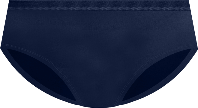 Women's Worry Free Hipster Underwear 2583