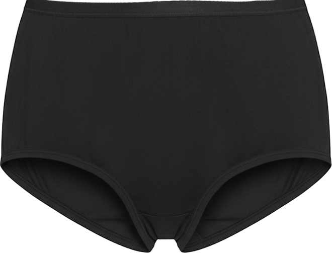 Women's Worry Free Brief Underwear 2580