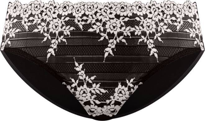 Women's Embrace Lace Hi Cut Embroidered Brief Underwear Lingerie 841191