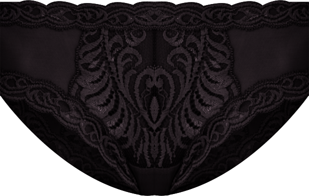 Feathers Low-Rise Sheer Hipster Underwear Lingerie 753023