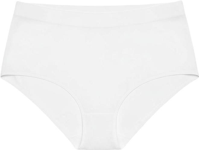 Women's B-Smooth Brief Seamless Underwear 838175