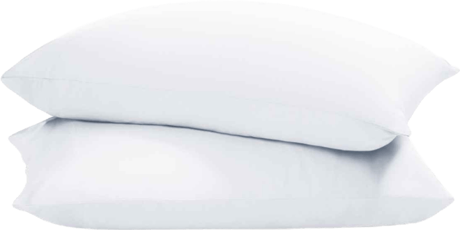 Tencel Lyocell Standard Pillowcase Set