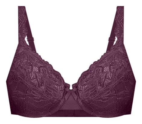 Bali® Lace Desire® Full-Figure Underwire Bra 6543