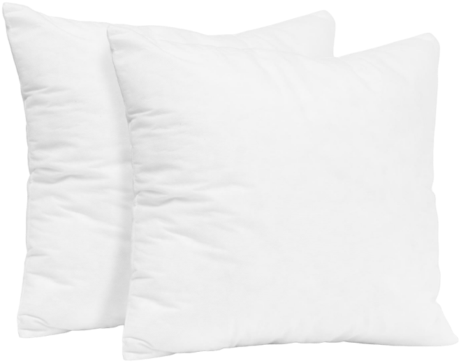 Square Sofa Throw Pillow Inserts