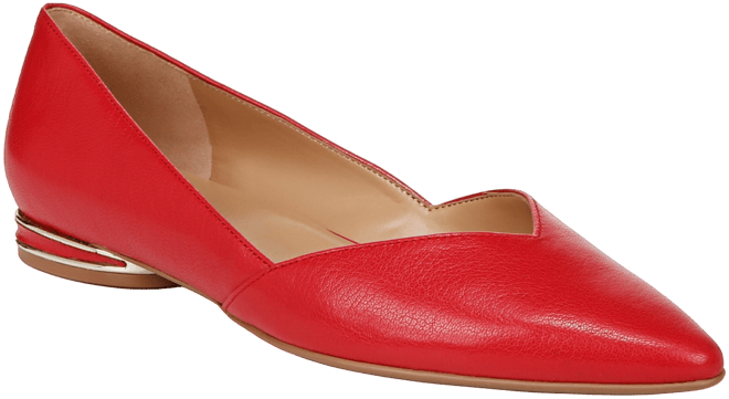 Women's Havana Pointed Toe Ballet Flats