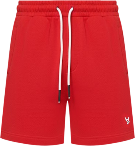 Men's Anti Essential Shorts