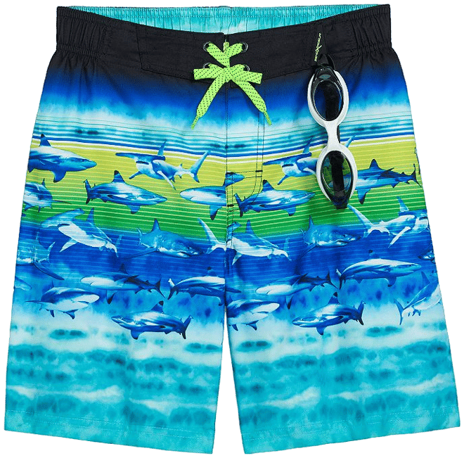 Boys 4-20 ZeroXposur Surfer Swim Shorts