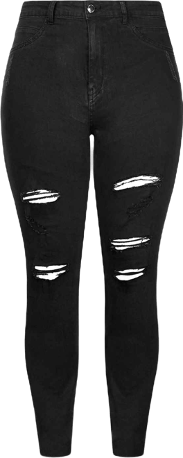 Plus Size Rock N Roll Skinny Jean