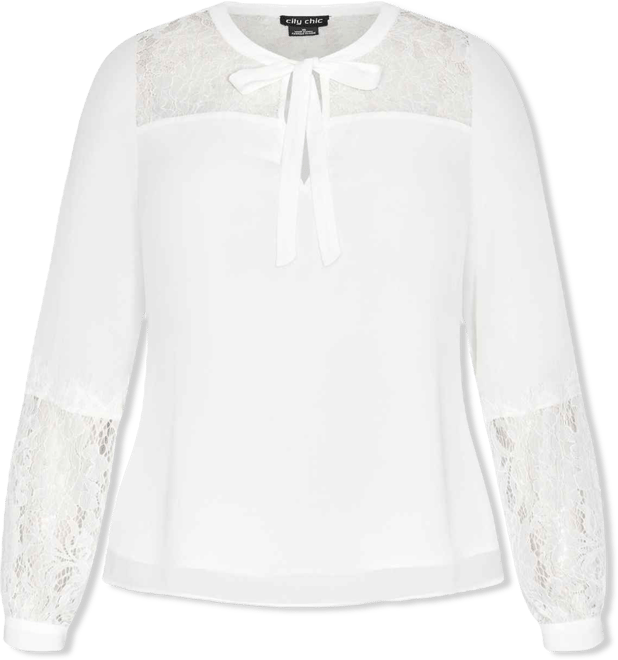 Plus Size Mysterious Lace Top