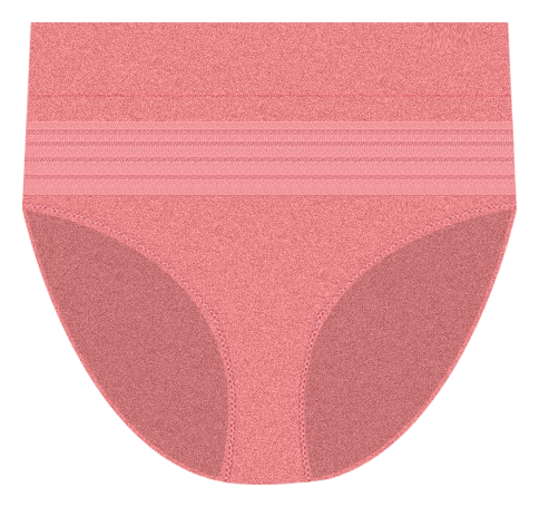 Women's Warner's RU0501P No Pinching. No Problems. Seamless Hipster Panty  (Toasted Almond S)