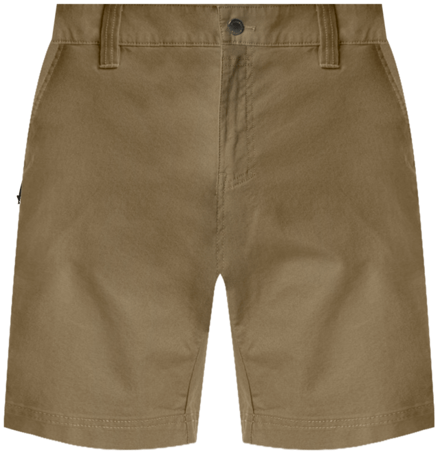 Men's Flex Shorts