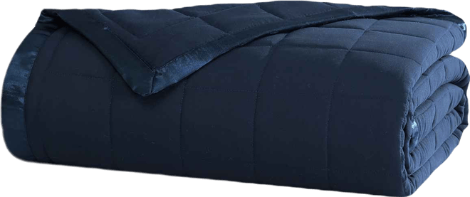 Beatrice Home Down Alternative Solid Blanket, King