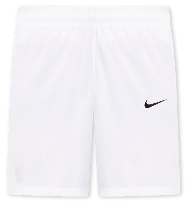 Nike Icon Dri-FIT-basketballshorts (20 cm) til mænd