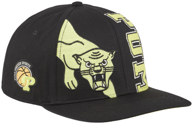 PUMA Hometown Heroes Cap