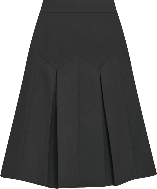 KARL LAGERFELD PARIS Karl Lagerfeld Women's Pleated Skirt