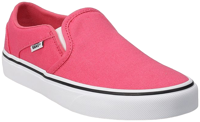 Vans asher hygge outlet women's skate shoes