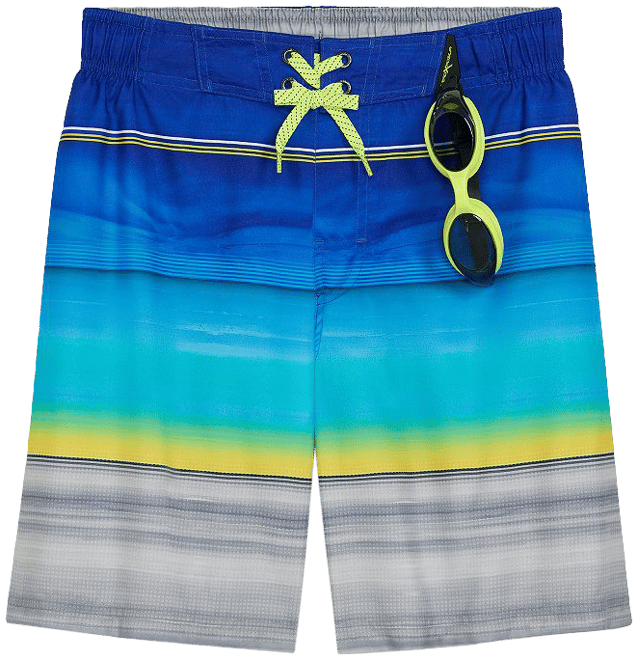 Boys 4-20 ZeroXposur Surfer Swim Shorts