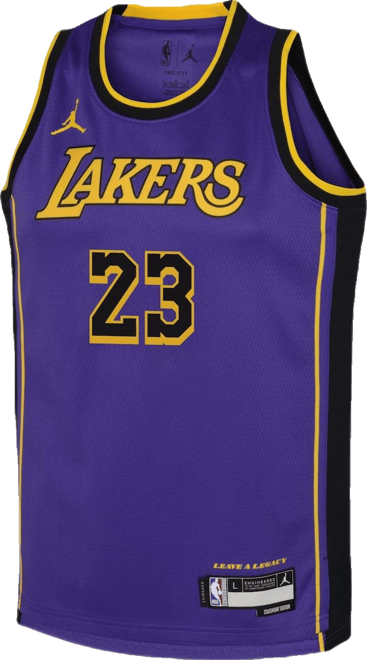 Big Boys  LeBron James Purple Los Angeles Lakers Performance Swingman Jersey