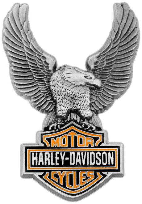 Eagle Bar & Shield Pin