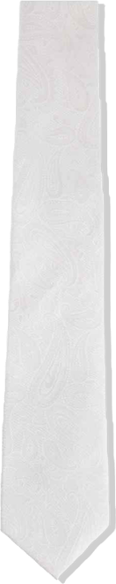Men's Banbury Tone on Tone Paisley Silk Necktie