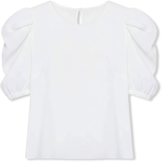 Women's Pleated Puff Sleeve Top