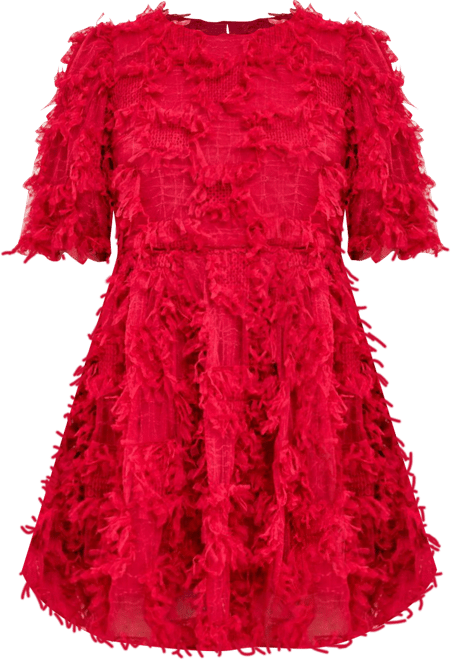 Women's Gridded Mesh Feathered Puff Sleeve Mini Dress