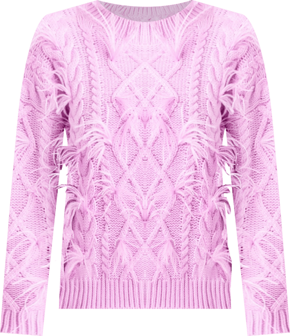 Women's Feather Detail Sweater