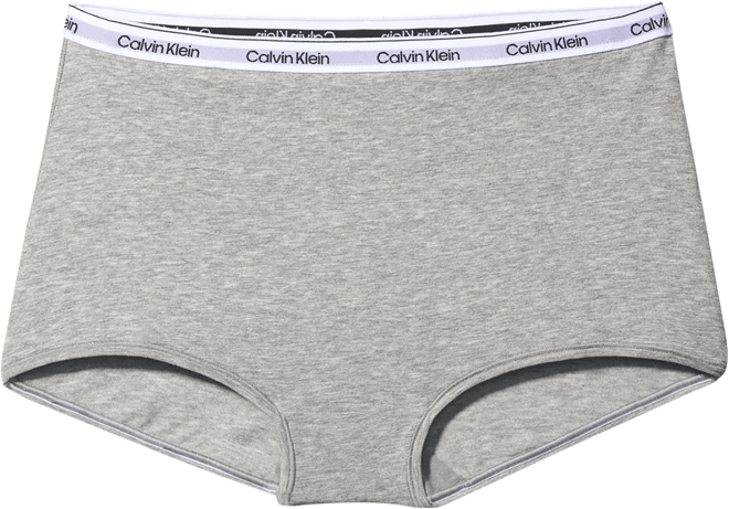Women's Modern Logo Boyshort Underwear QD5195