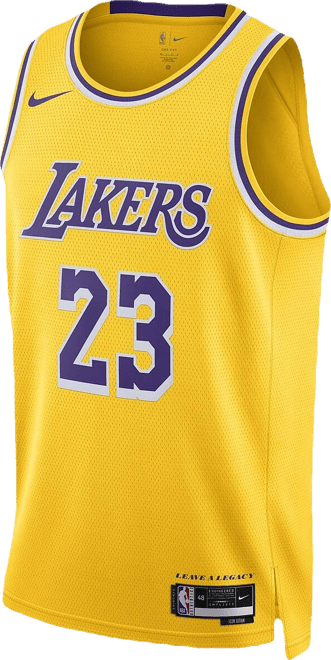 Men's and Women's  LeBron James Los Angeles Lakers Swingman Jersey