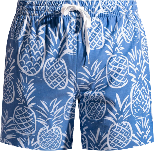 Men's The Thigh-Naples Quick-Dry 5-1/2" Swim Trunks with Boxer Brief Liner