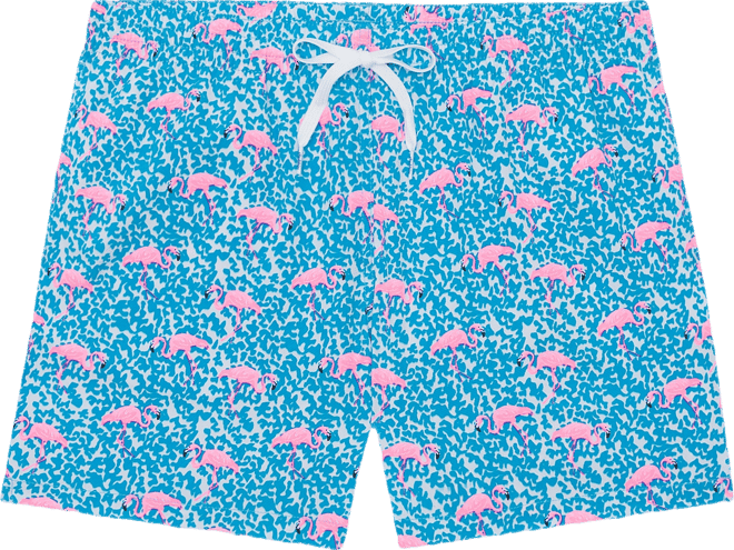Men's The Domingos Are For Flamingos Quick-Dry 5-1/2" Swim Trunks