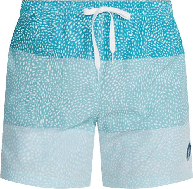 Men's The Whale Sharks Quick-Dry 5-1/2" Swim Trunks with Boxer Brief Liner