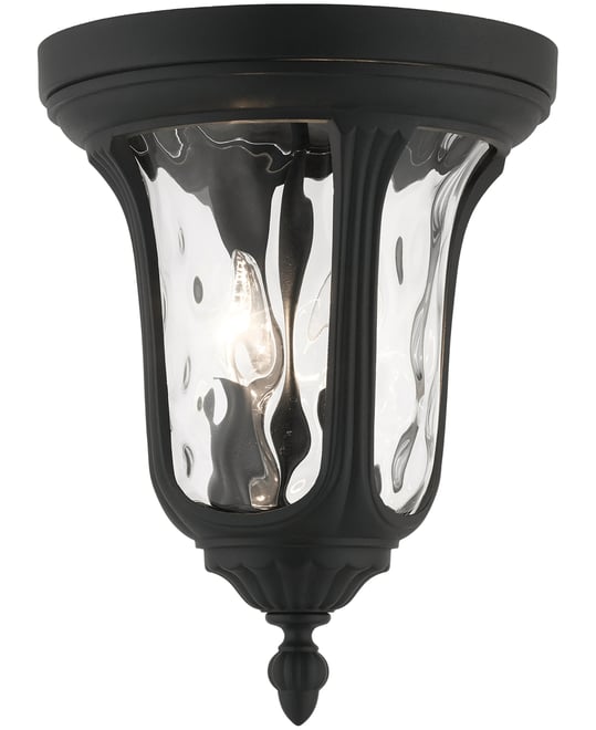 Oxford 2 Light Outdoor Ceiling Mount