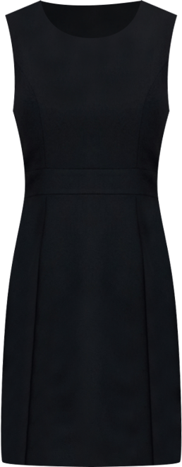 Women's Sleeveless Seamed Waist Sheath Dress