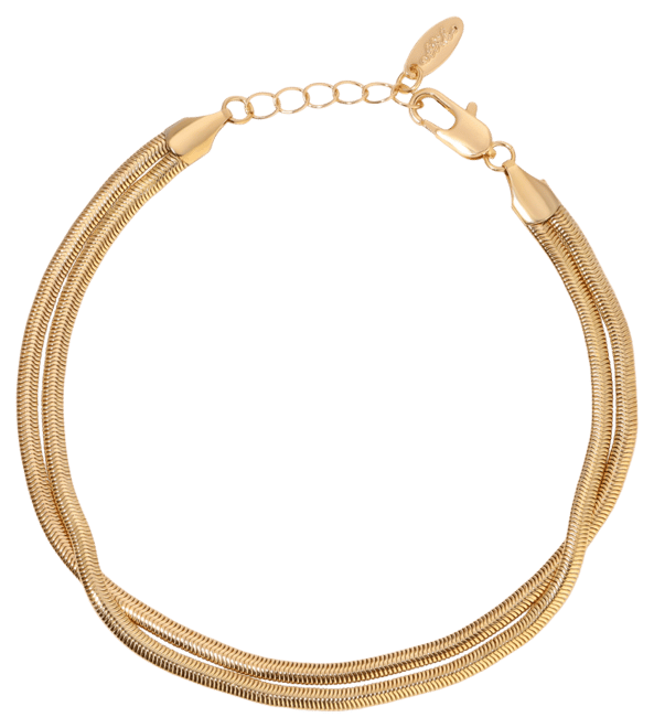 Slinky Snake Double Chain 18k Gold Plated Anklet