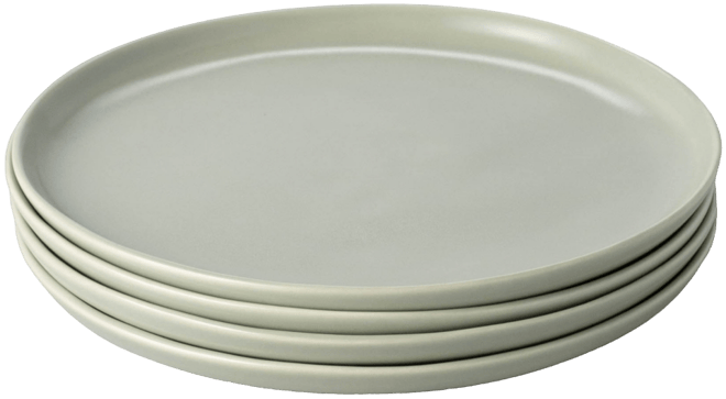 Dinner Plates, Set of 4