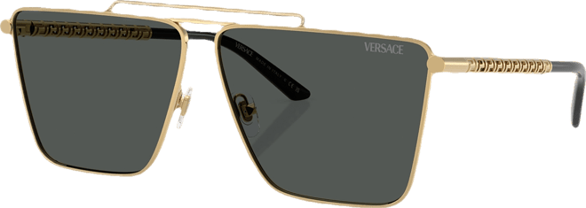 Men's Sunglasses, Ve2266