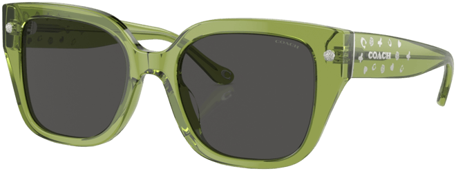COACH Women's Sunglasses, Cr611 Hc8392U - Macy's