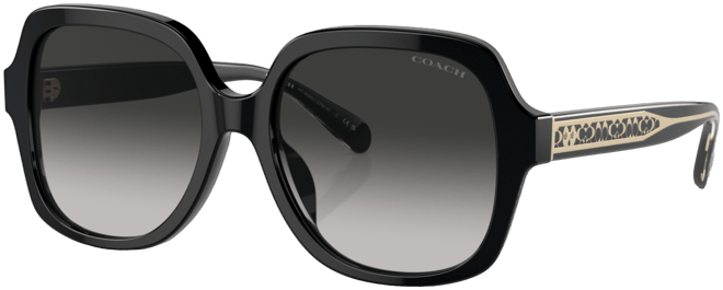 Women's Sunglasses, Cr614 Hc8395U